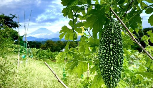 「山里は持続可能な世界だった」を鑑賞して