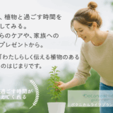 「整える」を学ぶ小さな一歩。ボタニカルライフプランナージュニア講座のお知らせ